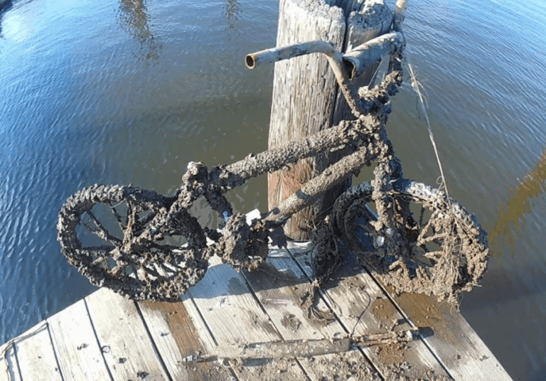 Úlovok bicykla